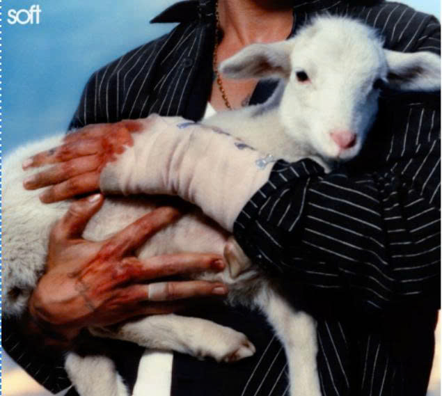 Ảnh: Artwork album Soft - LANY. Tôi thấy artwork này rất đẹp, chàng trai ôm chú cừu như bảo vệ lấy sự ngây thơ của mình vậy.